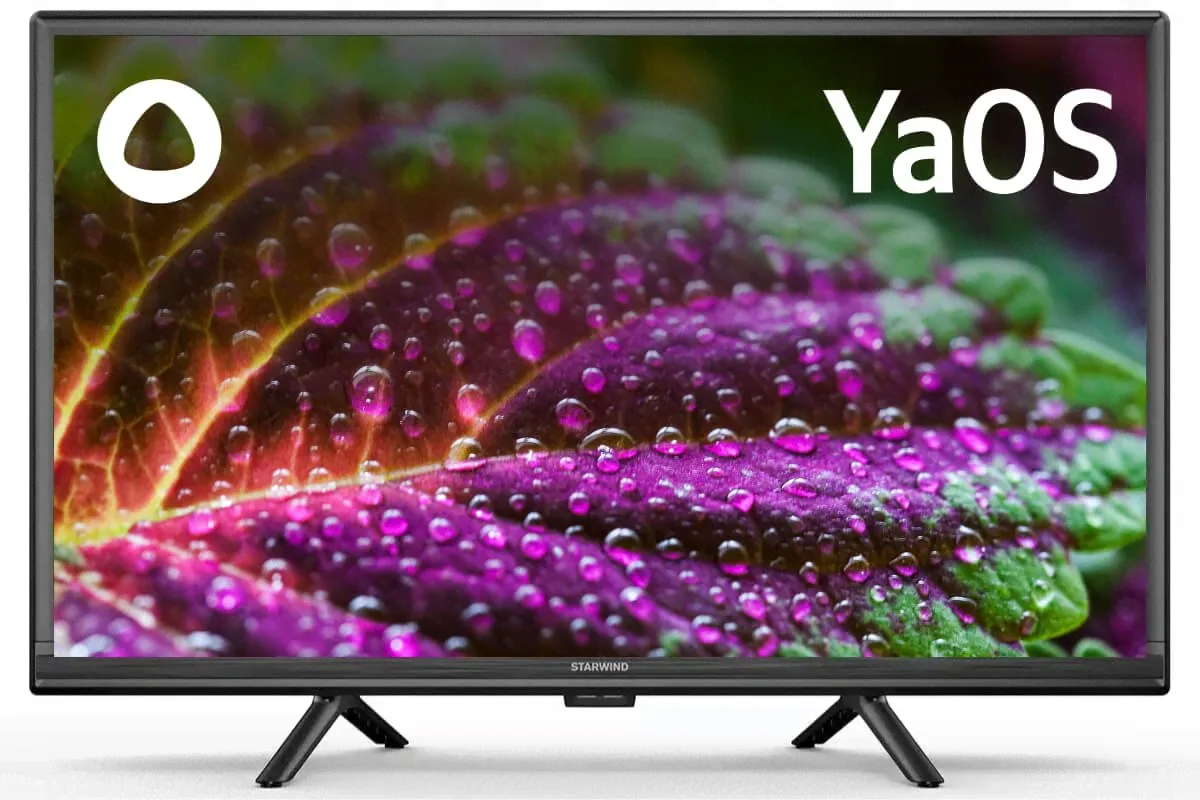 Телевизор 24" StarWind SW-LED24SG304 HD HDMIx2, USBx2-1