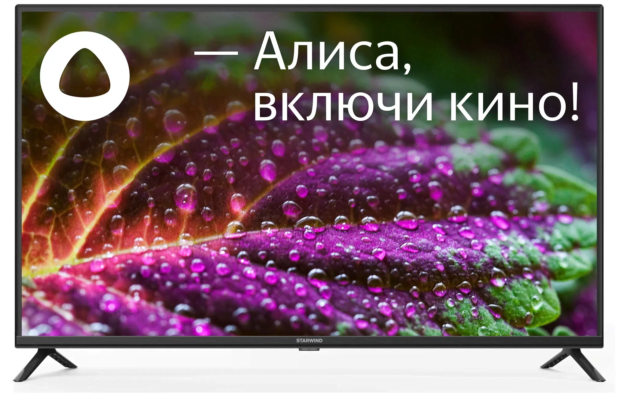Телевизор 43' STARWIND SW-LED43SG302