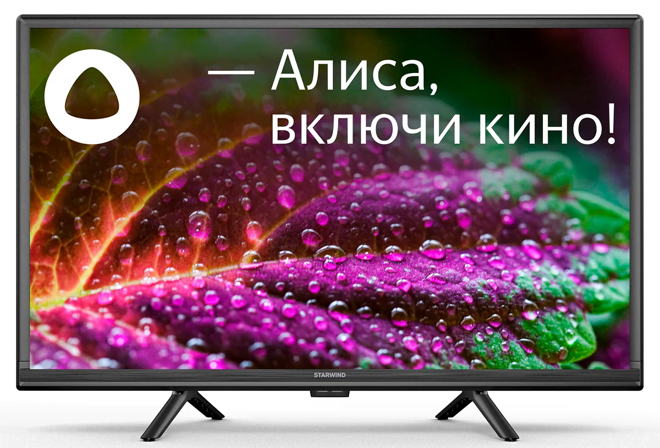 Телевизор LED 24" Starwind SW-LED24SG304 SmartTV Яндекс.ТВ