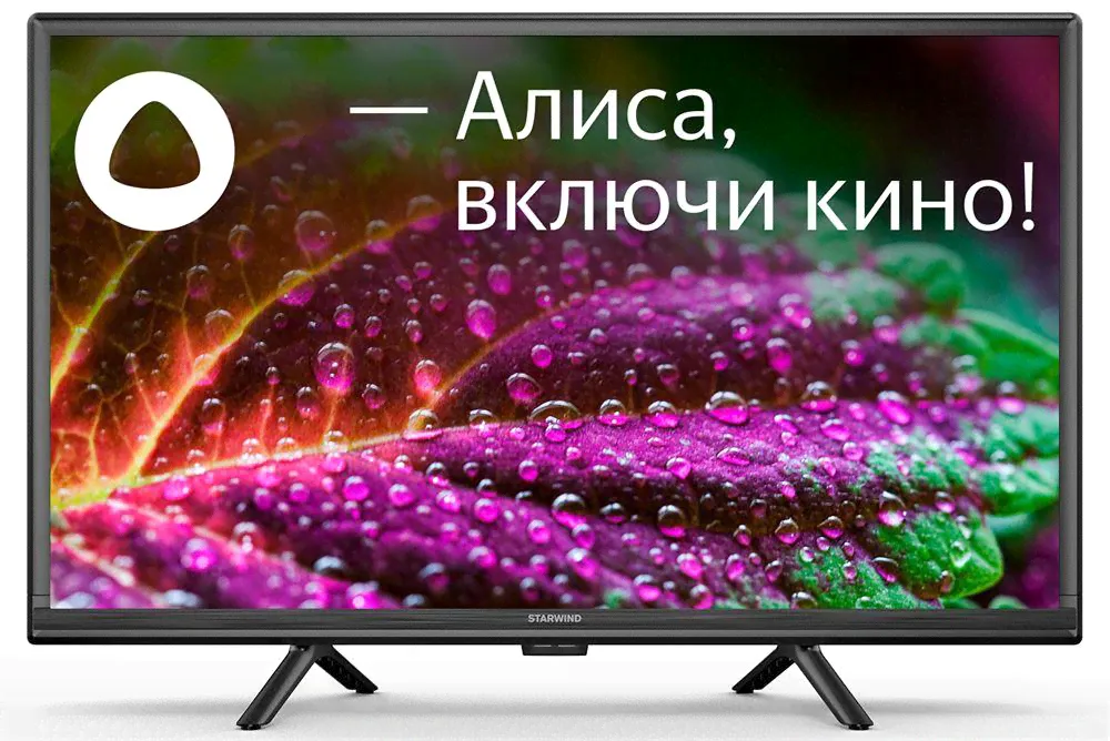 LED-телевизор LED-телевизор STARWIND SW-LED24SG304 SMART Яндекс-0