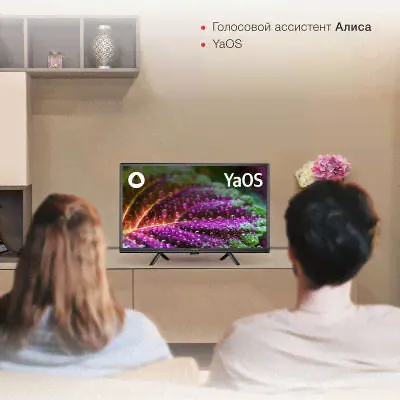 Телевизор 24" StarWind SW-LED24SG304 HD HDMIx2, USBx2-2
