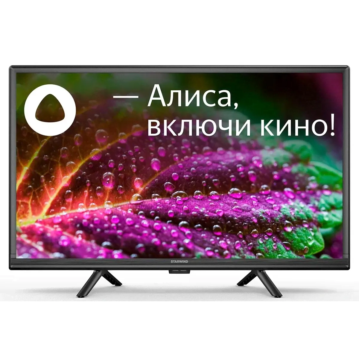 Телевизор Starwind 24" SW-LED24SG304, черный-0